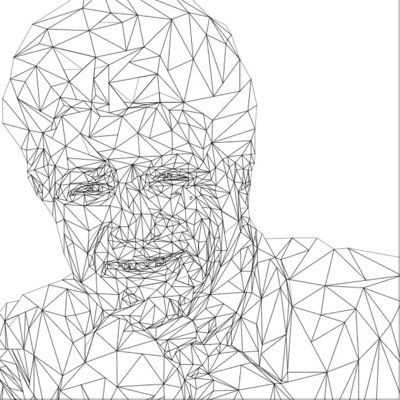 The net of lines